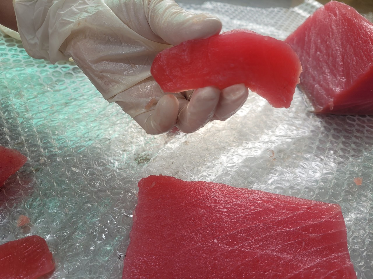 THĂN CÁ NGỪ ĐẠI DƯƠNG (TUNA LOIN)