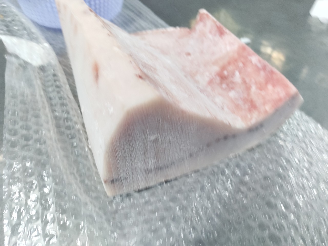 LƯỜN CÁ CỜ KIẾM SASHIMI (SASHIMI SWORDFISH BELLY)