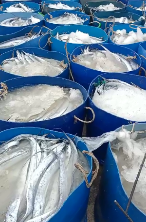 CHẢ CÁ
