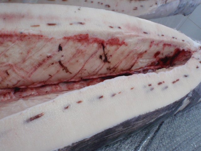 LƯỜN CÁ CỜ KIẾM SASHIMI (SASHIMI SWORDFISH BELLY)