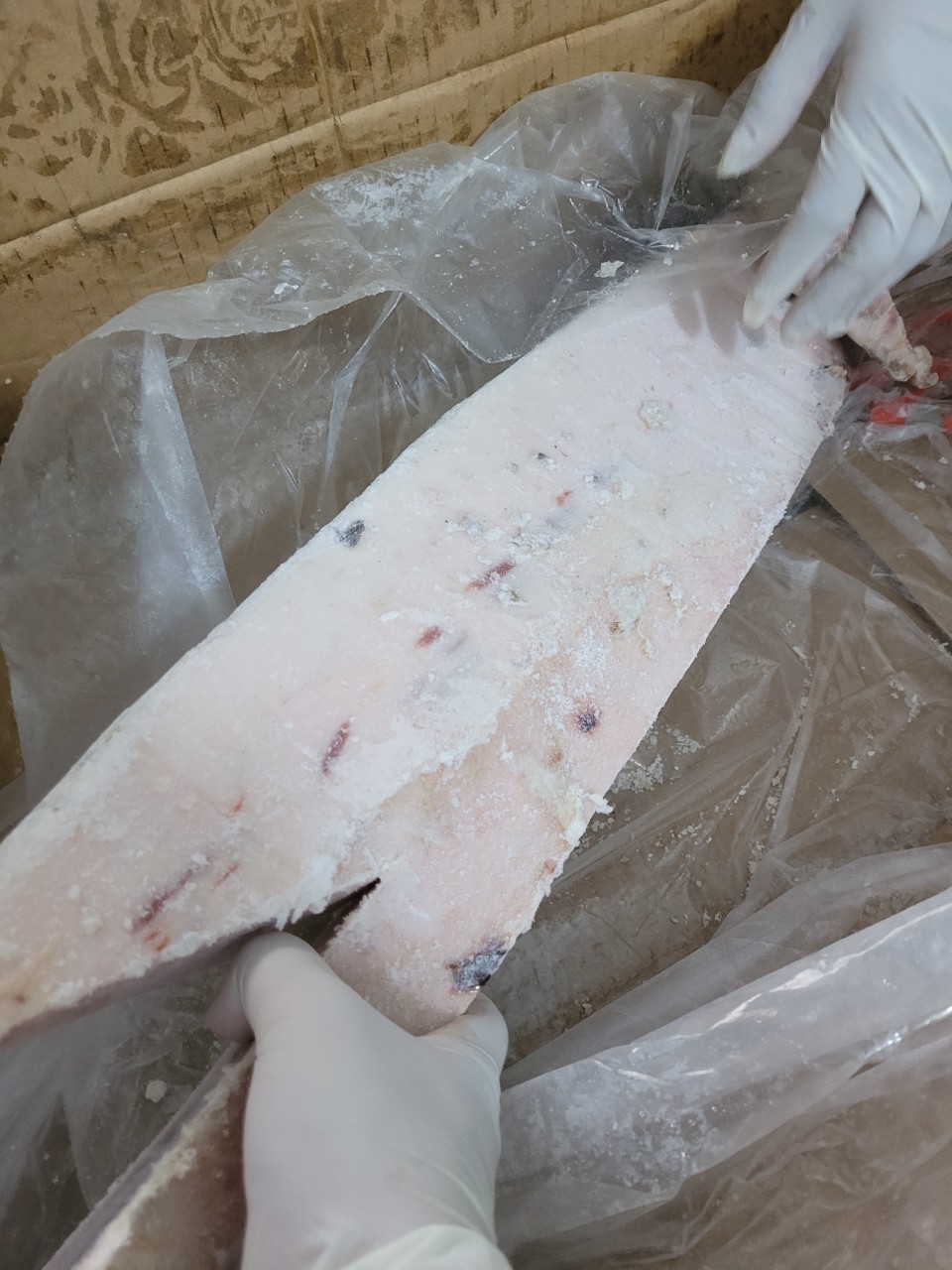 LƯỜN CÁ CỜ KIẾM SASHIMI (SASHIMI SWORDFISH BELLY)