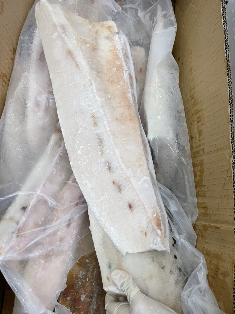 LƯỜN CÁ CỜ KIẾM SASHIMI (SASHIMI SWORDFISH BELLY)