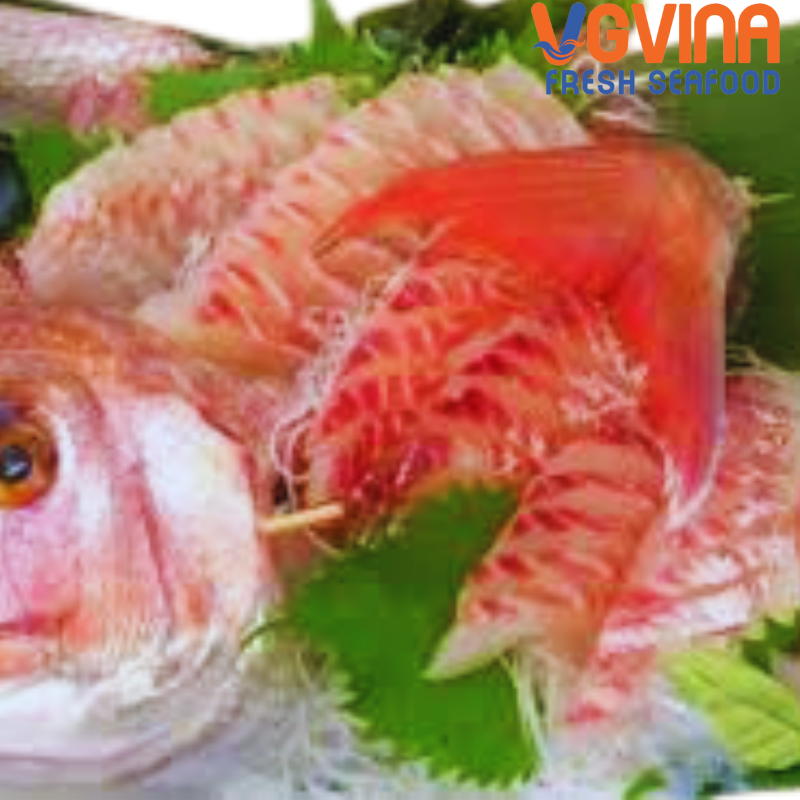 Cá Sơn Đá