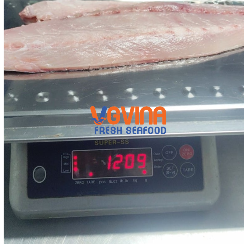 Cá cam (Greater amberjack)