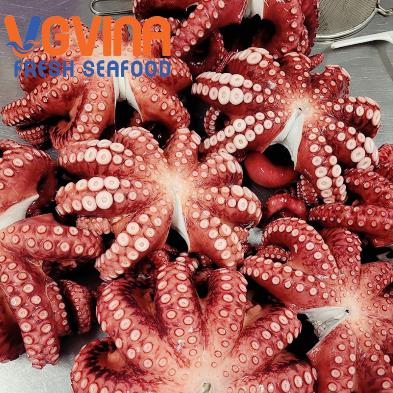 BẠCH TUỘC TAKO VIỆT NAM