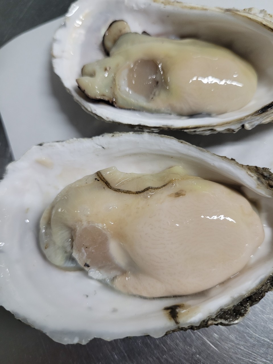 HÀU SỮA PHÁP NỬA MẢNH