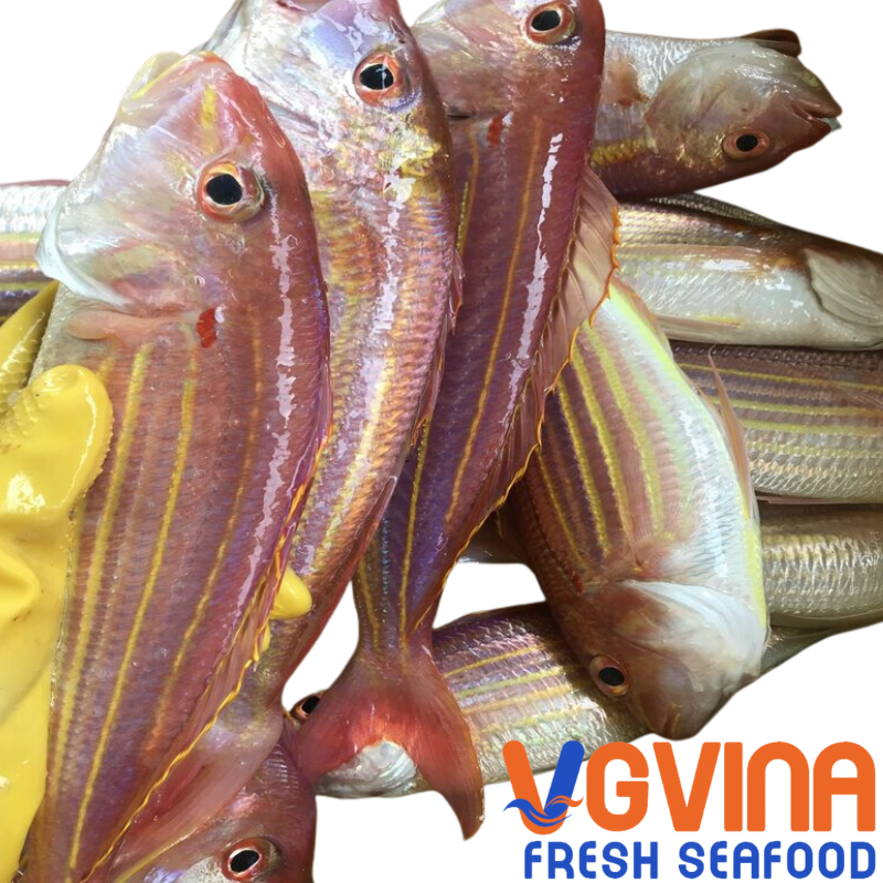 Cá Đổng cờ  (Akaamadai)