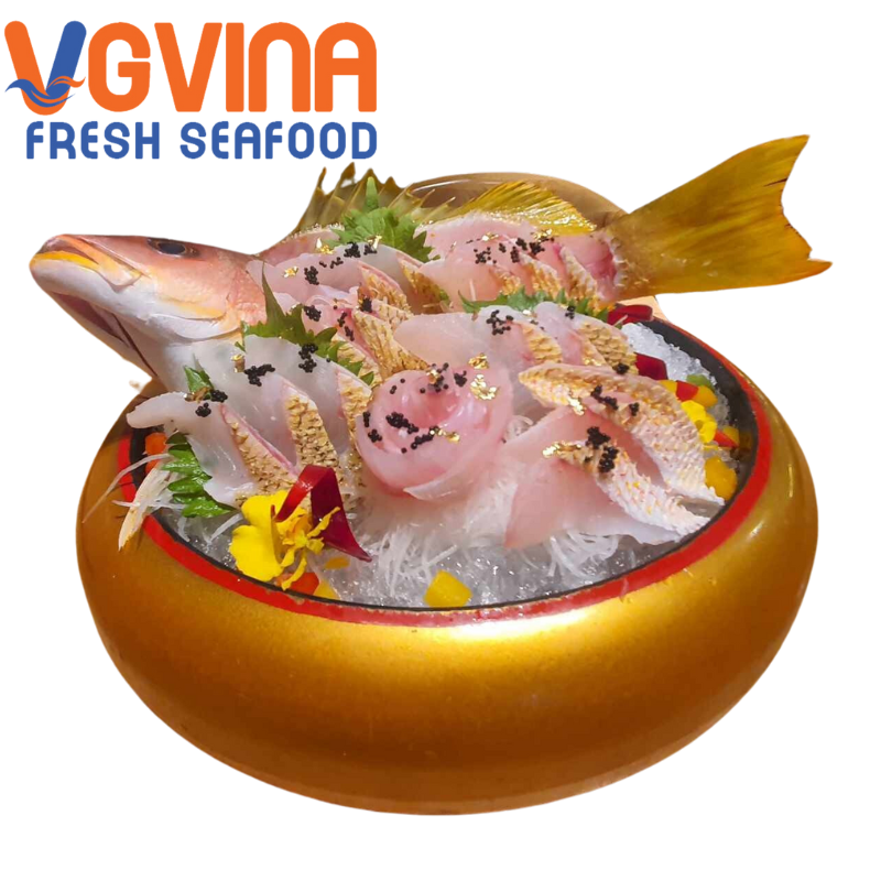 cá hồng biển ( Madai)