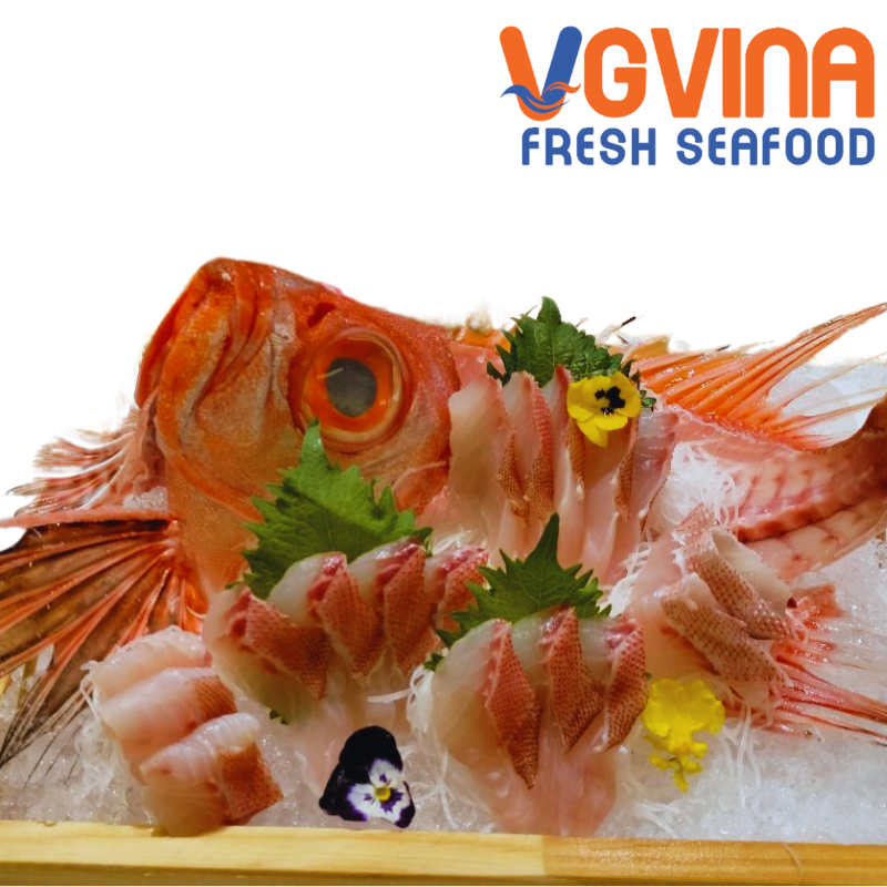 CÁ BÃ TRẦU( KINMEDAI)